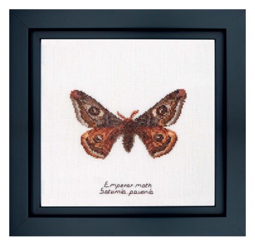 Thea Gouverneur - Kit De Point De Croix Compté - Papillon Empereur - Lin - 32 Compter - Pour Adultes - 562