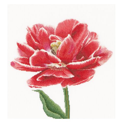 Thea Gouverneur - Kit De Point De Croix Compté - Tulipe Double Précoce Bordée De Rouge / Blanc - Lin - 32 Compter - Pour Adultes - 520