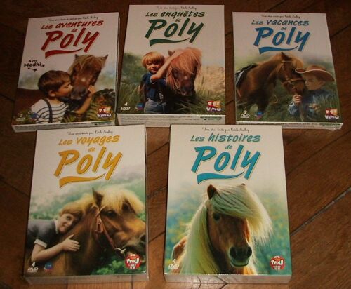 Lot 5 Coffrets (16 Dvd) - Intégrale "Poly" : "Les Aventures - Les Vacances - Les Enquêtes - Les Voyages - Les Histoires De Poly" 