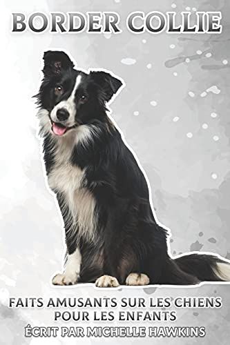 Border Collie: Faits Amusants Sur Les Chiens Pour Les Enfants #29