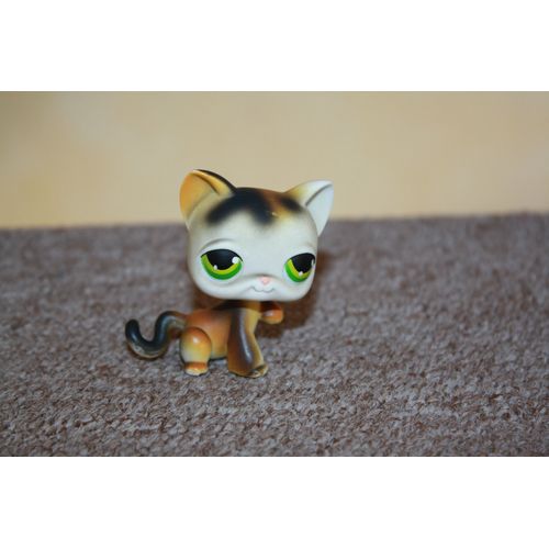Petshop Chat Roux Blanc Noir N°27