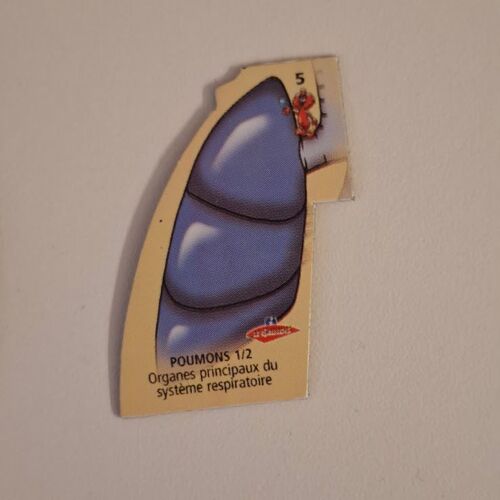 Magnet Le Gaulois Il Était Une Fois La Vie Le Corps Humain L Homme No 5 Poumons 1/2 Organes Principaux Du Système Respiratoire