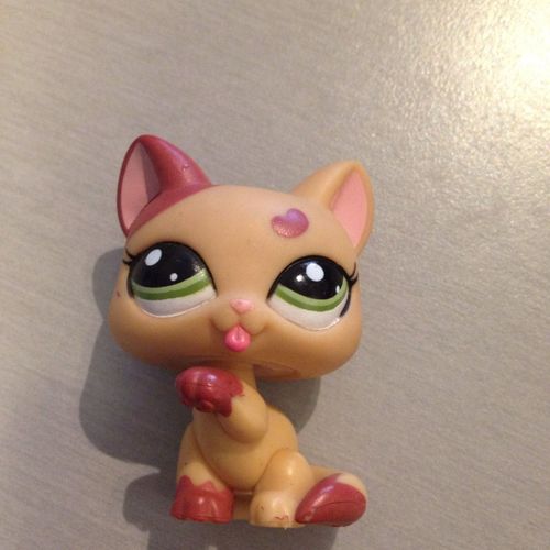Petshop Chat Chartreux N 2355