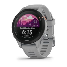 Garmin Forerunner 255S GPS 41 mm Gris (010-02641-12)
