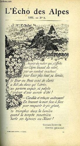 L'echo Des Alpes - Publication Des Sections Romandes Du Club Alpin Suisse N°8 - Une Traversee De La Südlenzspitze Par Le Mauvais Temps Par Oswald Thiel, Quelques Premieres Inedites Et Une ...