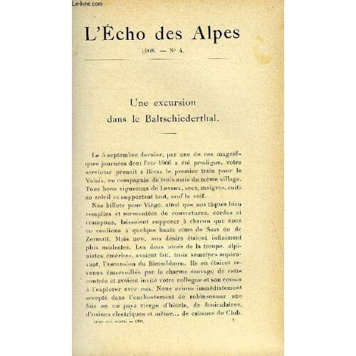 L'echo Des Alpes - Publication Des Sections Romandes Du Club Alpin Suisse N°4 - Une Excursion Dans Le Baltschiederthal Par Ernest Ruchonnet, Ascension De L'aiguille Du Triolet Par Le Dr Ad. ...