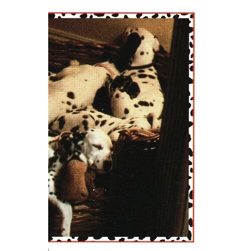 N° 33 - Image Stickers Panini Disney Les 101 Dalmatiens Film