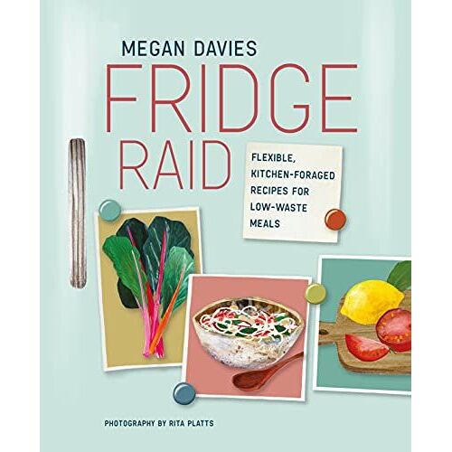 Fridge Raid