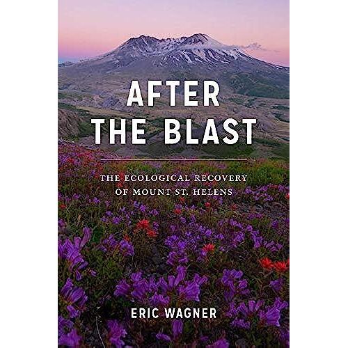 After The Blast
