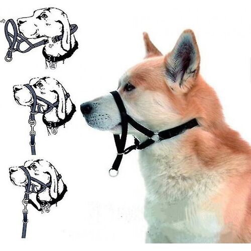 Halti Head Collar Dog Training Obéissance Arrêtez De Tirer Sur Le Plomb Pas De Solution De Traction