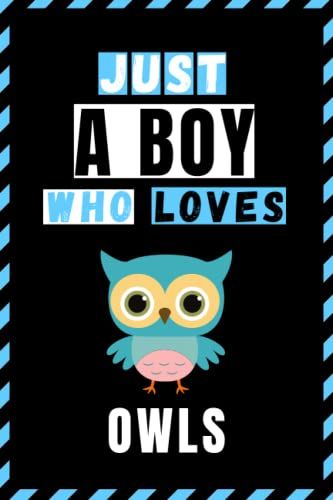 Just A Boy Who Loves Owl Sketchbook: Cute Funny Gift For Owl Lovers | Owl Sketching Book For Boys |Sketch Book For Kids | 6x9 Inches ,110 Pages