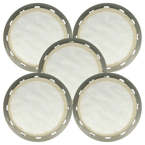 vhbw 5x filtre compatible avec Electrolux UZ 930 Panther, UZ 930 S Profi Power, UZ 930 S, UZ 932 Apollo aspirateur - filtre HEPA gris / blanc