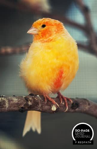 Canary: A Lined Notebook & Journal: An Awesome Canary Notebook With Lined Interior - Great Gift For Animal Lovers
