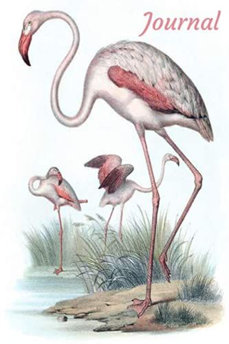 Journal