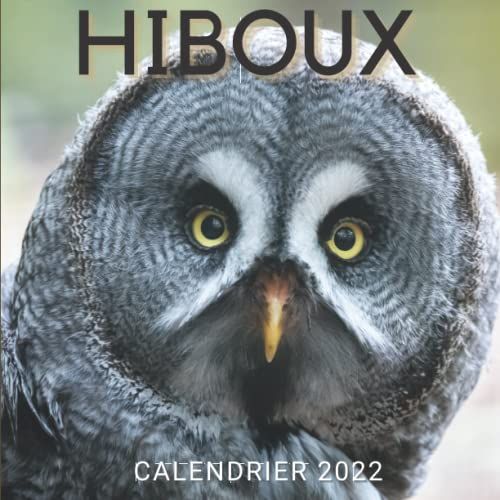 Calendrier 2022 Hiboux: Mensuel De Janvier À Décembre 2022 - Calendrier De 12 Mois - 12 Photos En Couleurs Impressionnantes Pour Les Passionnés De Hiboux