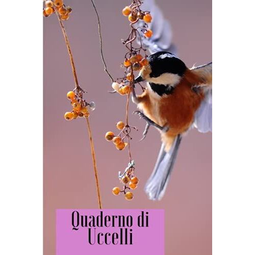 Quaderno Di Uccelli: Un Diario Di Bordo Per Birdwatching E Birdwatcher | Diario Per Gli Amanti Del Birdwatching | Dimensioni: 6" X 9" | 100 Pagine.