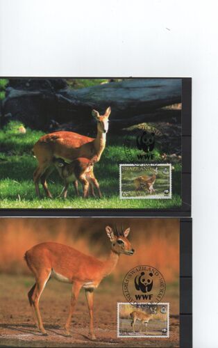 Swaziland Cartes Postales Animaux : Gazelles Et Antilopes 2001