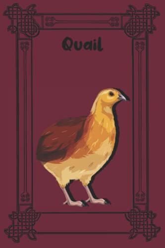 Quail: Perfect Quail Notebook - Journal For Quail Lovers, Bird Lovers (120 Pages).