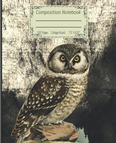 Composition Notebook: Vintage Owl Illustration Cover Design. Wide Ruled Workbook For School, Students, Or Teachers. Perfect Gift For Owl And Berd Lovers _200 Pages _7.5 X 9.25