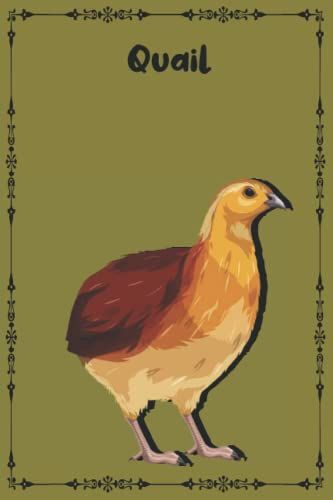 Quail: Perfect Quail Notebook - Journal For Quail Lovers, Bird Lovers (120 Pages).