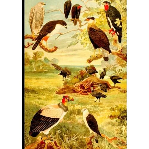 Bird Art Notebook Cover Design: College Ruled Composition Notebook 7 X 10 Inch, Original Art Cover Design, Perfect Gift For Art Lovers.