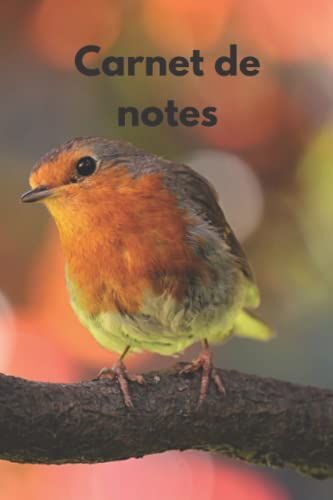 Carnet De Notes: Agenda Pour Noter Vos Idees , Vos Projet ..Carnet Pour Ne Plus Jamais Rien Oublier-A4+ (15,24 X 22,86cm) 100 Pages