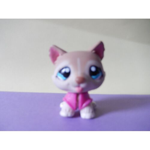 Petshop Chien Husky N° 1012