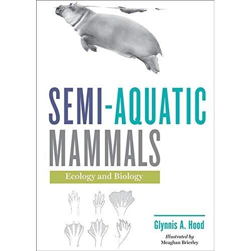 Semi-Aquatic Mammals