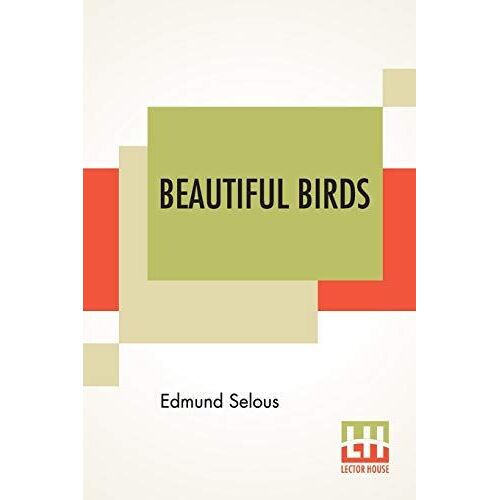 Beautiful Birds