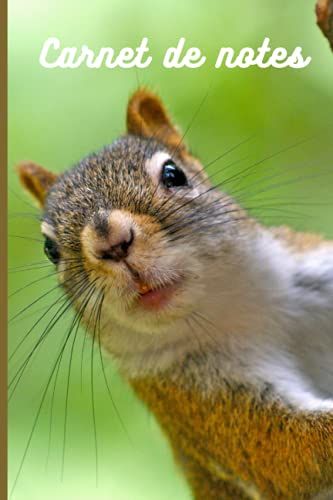 Carnet De Notes: Ecureuil Cahier De Brouillon Petit Format Pas Cher 100 Pages Lignées Couverture Souple Pour Les Amoureux Des Animaux Ecole College ... Cadeau Anniversaire Original Femme Homme