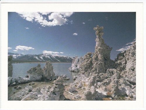 Carte Postale Californie - Mono Lake And Tufas