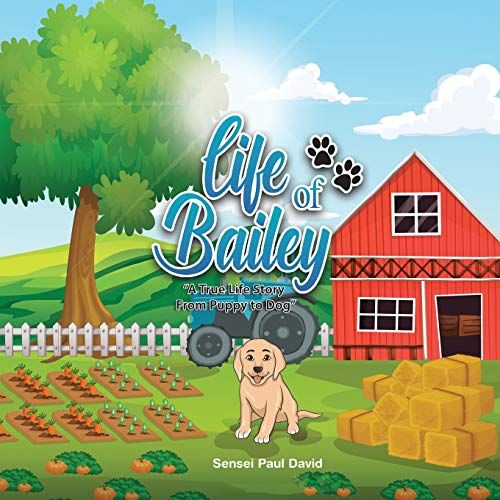 Life Of Bailey: A True Life Story From Puppy To Dog