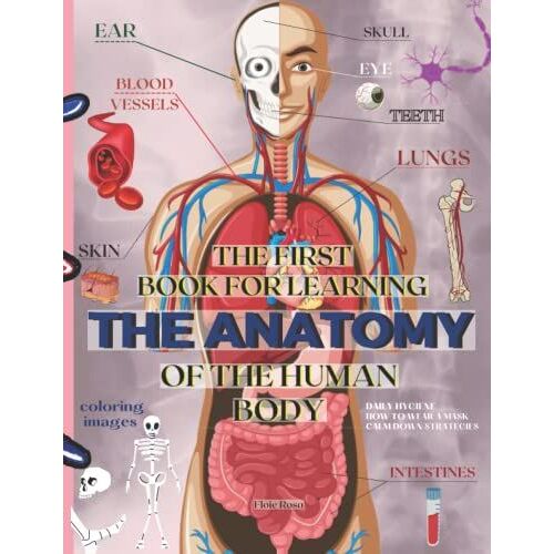 The First Book For Learning The Anatomy Of The Human Body: An Educational, Coloring Book For Children | The Brain, Bones, Muscles, Blood, Nerves, ... Role | For Children Aged 7 To 12 Years Old