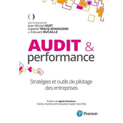 Audit Et Performance - Stratégies Et Outils De Pilotage Des Entreprises