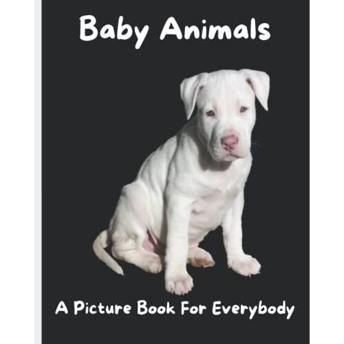 Baby Animals: A Picture Book For Everyone Volume 1