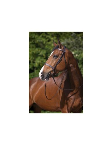 Bridon Riding World Muserolle Française