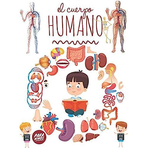 El Cuerpo Humano Para Niños: Mira Debajo De Tu Cuerpo A Partir De 3 Años, Enciclopedia Para Niños.