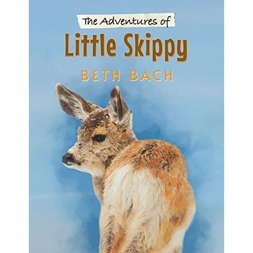 The Adventures Of Little Skippy