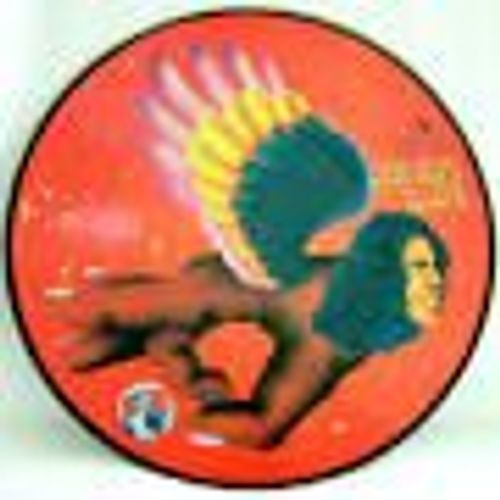 The Man Who Sold The World - Picture Disc 