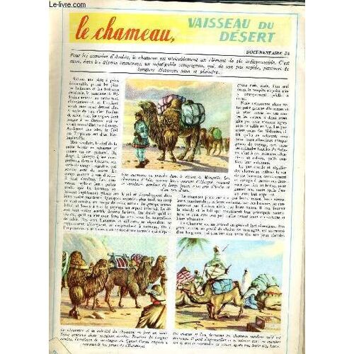 Tout L'univers - Documentaire 54 - Le Chameau - Vaisseau De Desert - Dickens Et Son Oeuvre - Documentaire 55 - Sardaigne - Documentaire 56 - Mythes Et Legendes * Divinite De L'olympe - ...