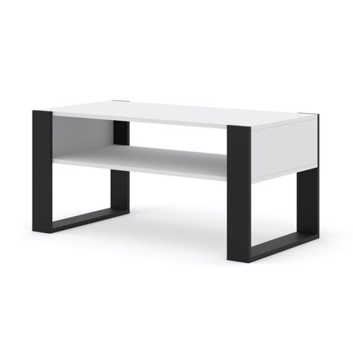 Table basse MONDI 100 x 50 cm avec étagère (tapis blanc)