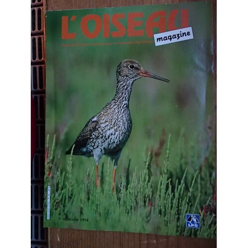 L'oiseau Magazine 36