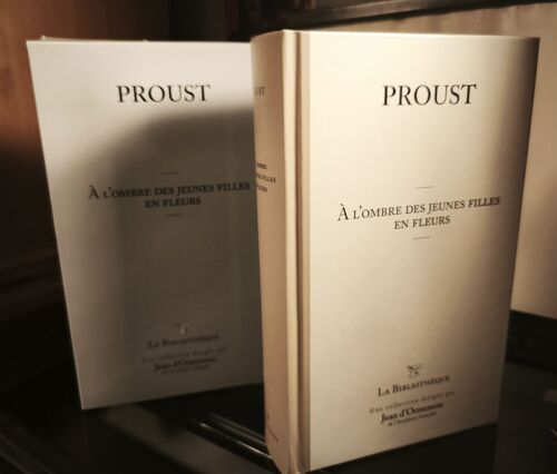 Livre Proust - A L ' Ombre Des Jeunes Filles En Fleurs - La Biliotheque - Une Collection Dirigee Par Jean D'ormesson De L'académie Française - Logée Dans Sa Boite D'origine ( Réf Clas Étagère Bureau )