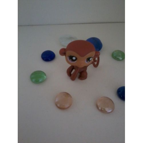 Singe Marron Violet (Monkey Brown Purple) Littlest Petshop Lps #189