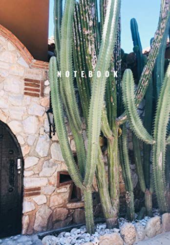 Roadside Cactus Notebook Journal Composition 6 X 9: Notebook Journal