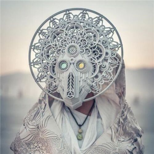 The Architect - Vinyle 33 Tours