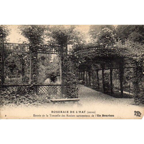 Carte Postale Ancienne  - Roseraie De L'hay - Entrée De La Tonnelle Des Rosiers Sarmenteux De L'ile Bourbon