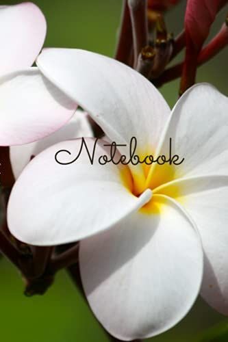 Notebook: Plumeria Designs