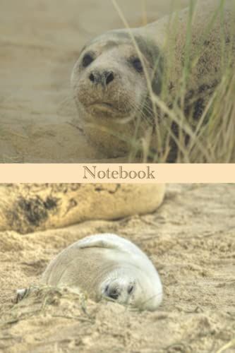 Super Seals Notebook: Cover Photography By Myriadlifephotoart