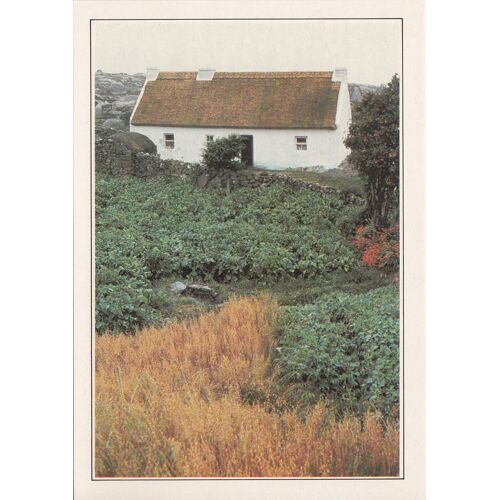 Irlande, " Galway, Ferme Dans Le Connemara ".